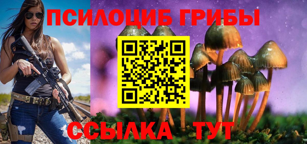 Псилоцибиновые грибы мухоморы  продажа наркотиков  Елец  Вход с VPN 