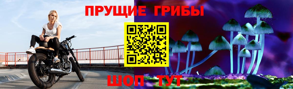 Псилоцибиновые грибы Magic Shrooms Елец